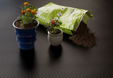 Black Garage Floor with Plants